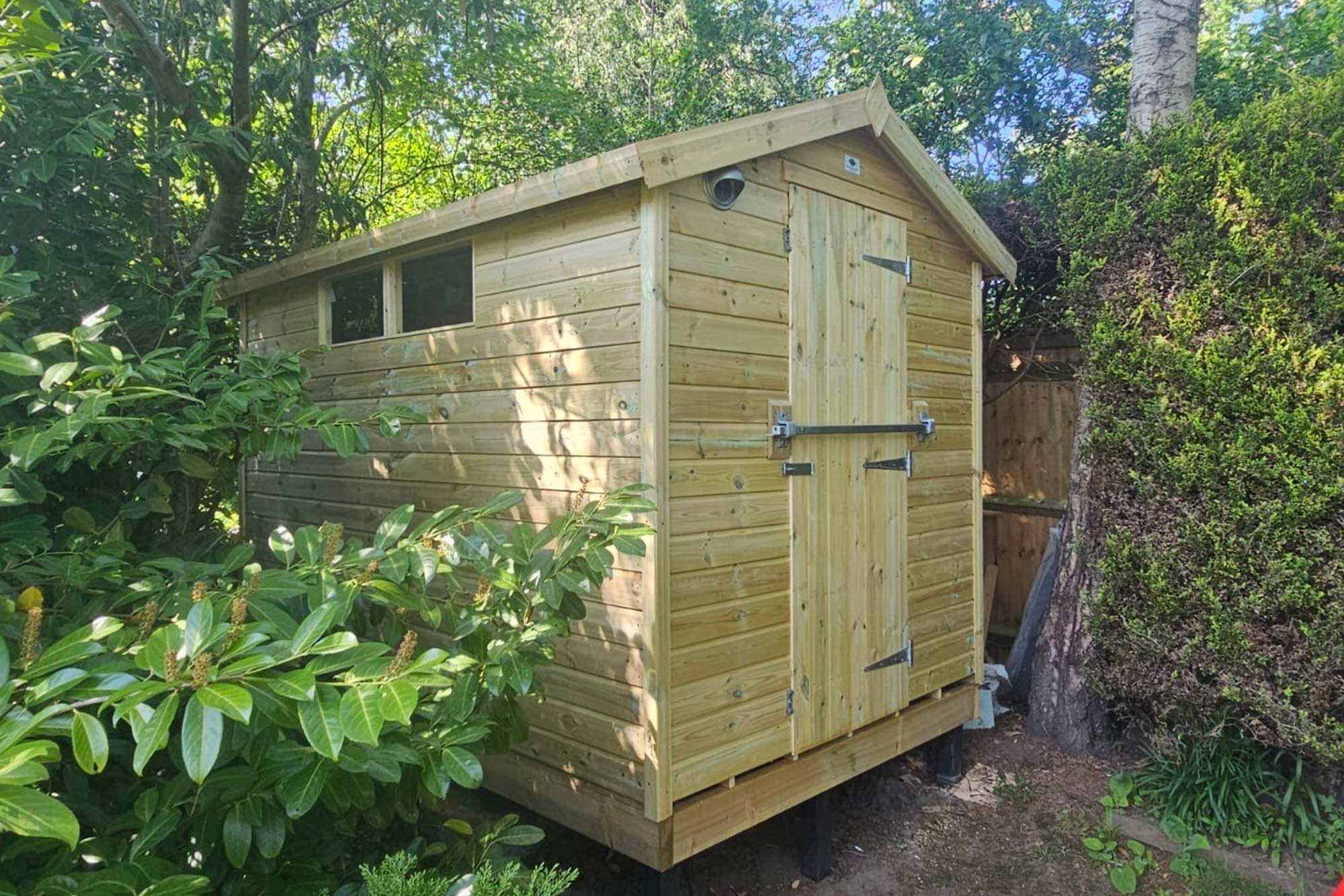 Apex Shed Apex Shed